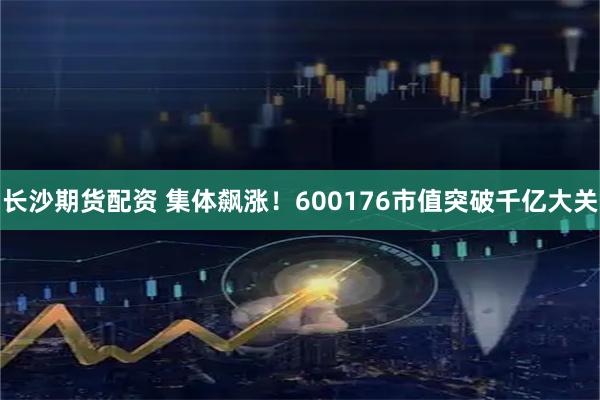 长沙期货配资 集体飙涨！600176市值突破千亿大关
