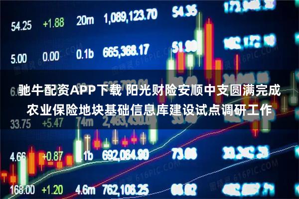 驰牛配资APP下载 阳光财险安顺中支圆满完成农业保险地块基础信息库建设试点调研工作